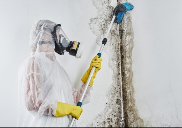 What is the best method for water damage restoration in Philadelphia?